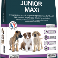 Junior maxi 15